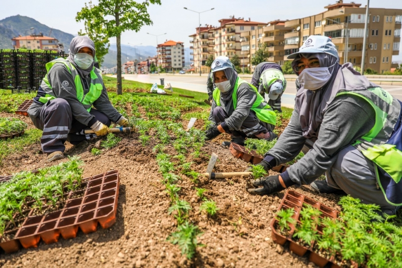 Çiçekler toprakla buluşuyor