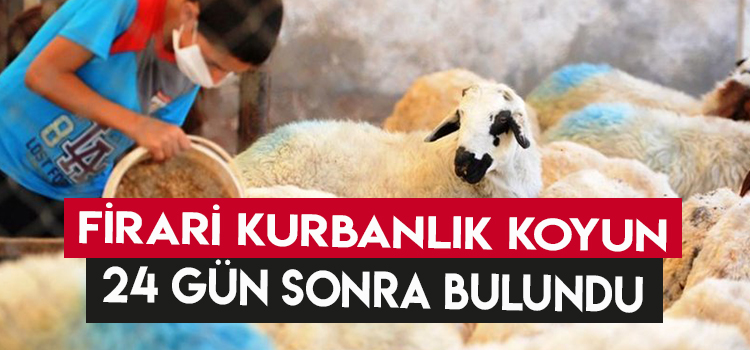 ÇALLI VATANDAŞ KURBANLIĞINA 24 GÜN SONRA KAVUŞTU