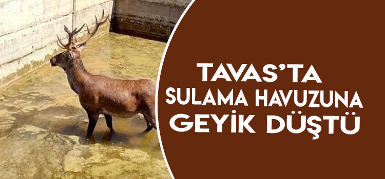 İMDADINA İTFAİYE ERLERİ YETİŞTİ