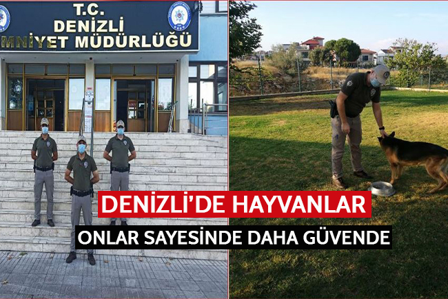 Denizli’de hayvanlar onlar sayesinde daha güvende