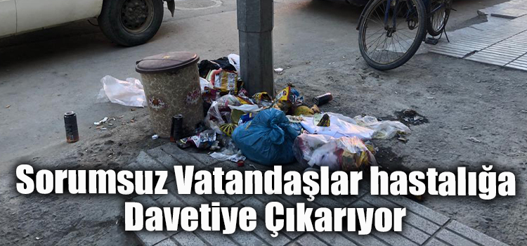 Sorumsuz vatandaşlar hastalığa davetiye çıkarıyor