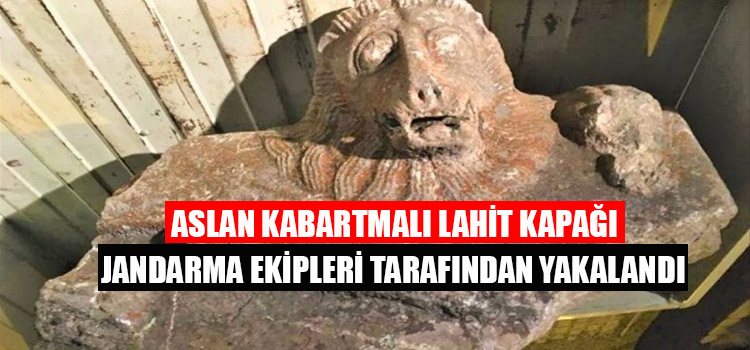 ASLAN KABARTMALI LAHİT KAPAĞI JANDARMA TARAFINDAN YAKALANDI