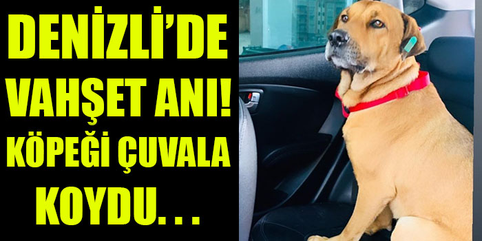 Denizli’de Vahşet Anı! Köpeği Çuvala Koydu. . .