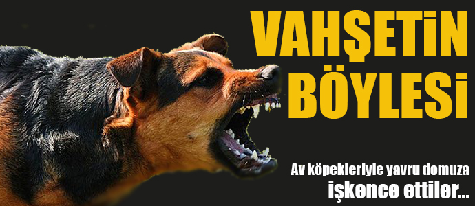 Vahşetin Böylesi!