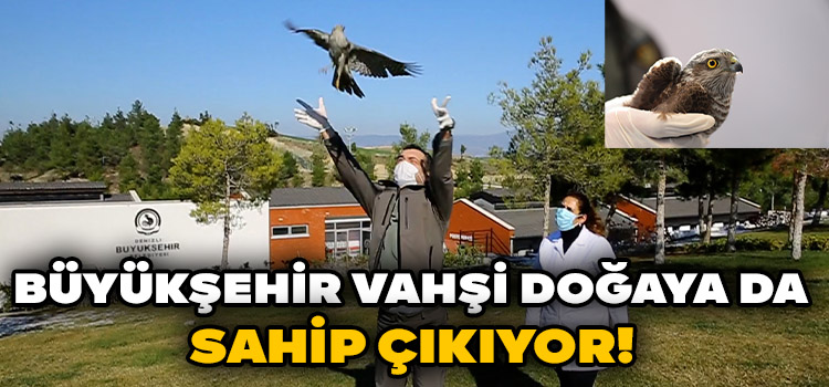 Büyükşehir Doğaya da Sahip Çıkıyor!