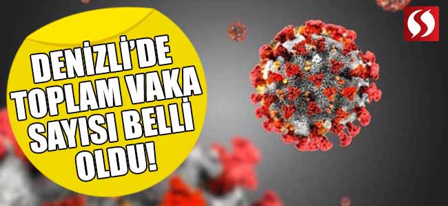 Denizli’de Toplam Vaka Sayısı Belli Oldu!