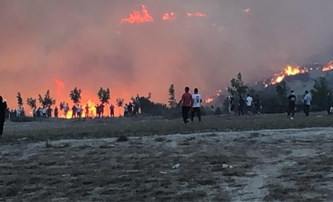 Buldan’da bir orman yangını daha başladı!