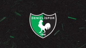 denizliyerel.com