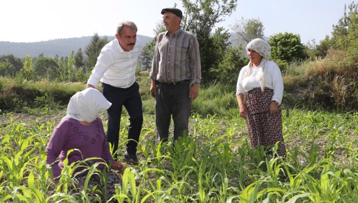 ACIPAYAM OVASI MODERN SULAMAYA KAVUŞACAK!
