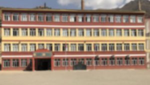 denizliyerel.com