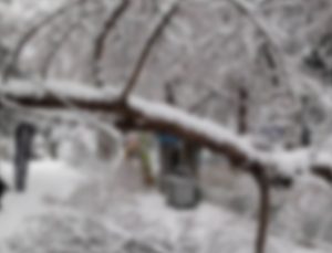 Yoğun karla devrilen ağaç ATM’yi yıktı!