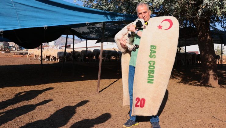 Başkan Zolan çoban kepeneği giydi, koyun kırktı