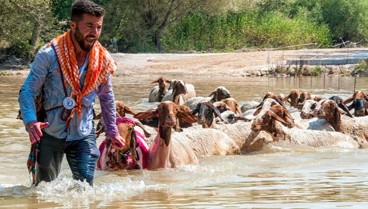 8 ASIRLIK GELENEĞE ŞAP ENGELİ