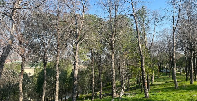 Denizli Sarayköy’de söz verilen mesire alanı için bekleyiş sürüyor!