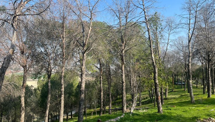 Denizli Sarayköy’de söz verilen mesire alanı için bekleyiş sürüyor!