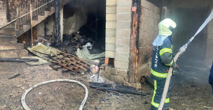 Denizli’de alevlere teslim olan ağılda 30 hayvan yandı!
