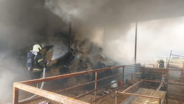 Denizli’de korkutan yangın, tonlarca saman yanarak küle döndü!