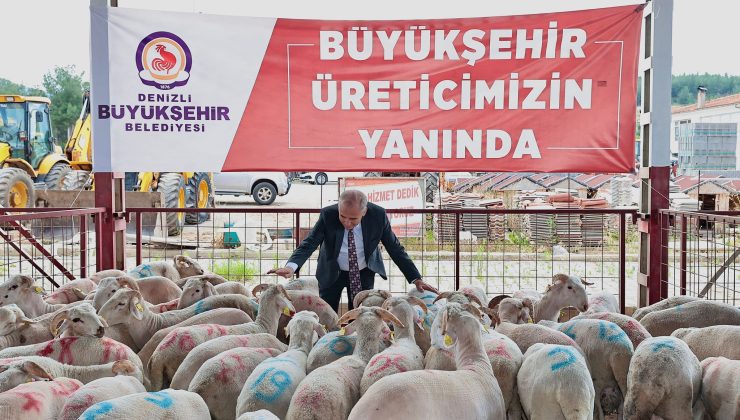 Büyükşehir’in hayvancılık destekleri çığ gibi büyüyor!