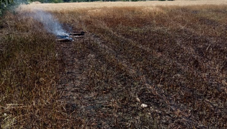 Denizli Sarayköy’de düşen yıldırım ekili arazide zarara yol açtı, 2 dekar alan küle döndü!