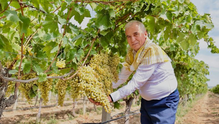 Başkan Zolan: “Her zaman üreticilerimizin yanındayız”